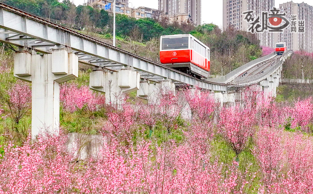 19ac7b5798d54716bb7ec72439384040_wh1000x620.jpg